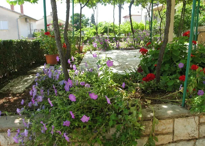 Apartment Petrinic V Pula